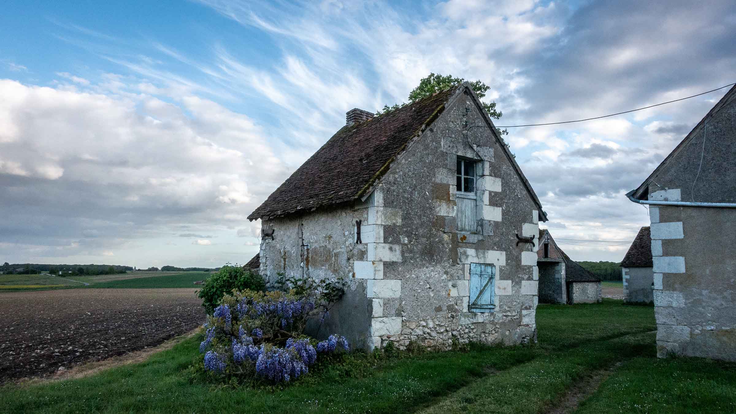 Cottage